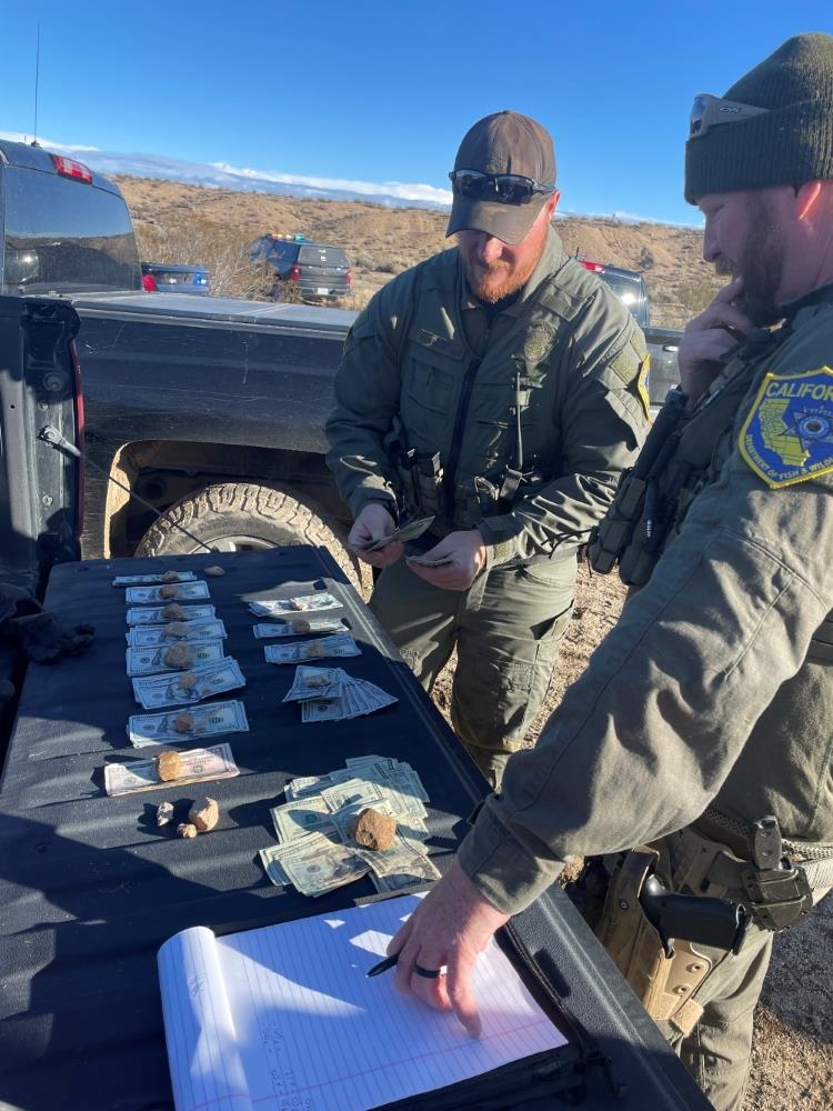 CDFW officers counting money seized at a cannabis enforcement operation near Lancaster in November 2025
